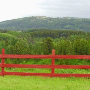 Meet your Posher, Lorene